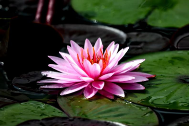 18����luck��(�й�)-�ٷ���վ