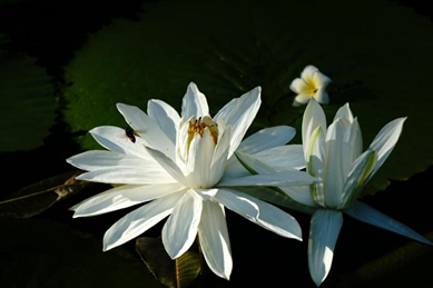 18����luck��(�й�)-�ٷ���վ