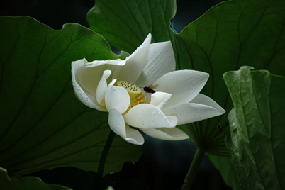 18����luck��(�й�)-�ٷ���վ