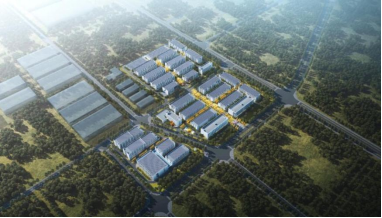 18����luck��(�й�)-�ٷ���վ